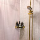 호호용담 이미지