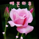 길목 Daum카페