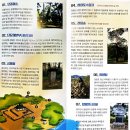 정천~주천 단풍나무길 | 왕과사는 영월에 다녀온 후기