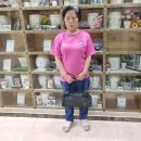 가든이용소 이미지