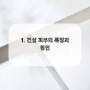 컨디션스킨케어