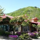 수빌리지펜션 이미지