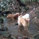 휴가민박 이미지