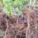 태선농장 이미지