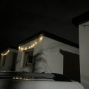 퐁낭에염 이미지