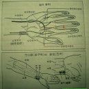 ◈ 死脈 ------ 약초로 중환자 치료시 미리 알아두고 조심해야할 사항 이미지