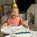 사림동311 이미지