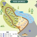 대구 근교 캠핑장 비슬산 자연휴양림 후기