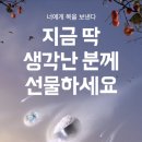 배달의 민족 선물하면 만원 쿠폰 준다‼️ (여혐주의) 이미지