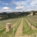 박미향 농장 이미지