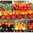 개인생활 이미지