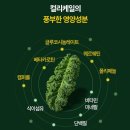 컬리케일분말 웰니스건강만점 유기농컬리케일 분말 15포 후기