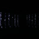 우리고양이 이미지