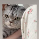 박엘리 스토어