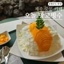 페오호텔 | 제주 서귀포 중문근처 카페 추천! 망고빙수 맛집 카페오놀 내돈내산 방문후기