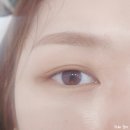 제이영래쉬 | [성남/분당] 지속력 좋은 속눈썹연장 미금역속눈썹 제이영래쉬 받고 온 후기