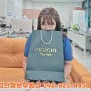행운(자이2차정문) 공인중개사사무소 | 도안 푸르지오 디아델 정당계약 후기