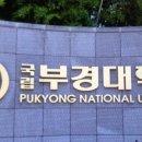 국립부경대학교 글로벌정책대학원 이미지
