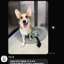 굿댕스쿨 이미지