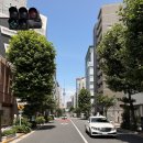 도쿄를 다녀왔어요 ①