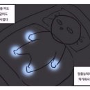 힐링로즈 네이버블로그