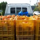 기수농장 이미지