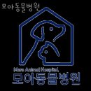 모아 동물병원 | 성남 신흥동 동물병원 모아동물병원 위치 오는길 후기
