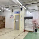 제주보성마켓51