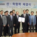 신도식품