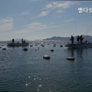 별다섯착한하우스