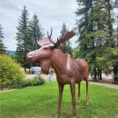 밸마운트 | 록키산맥으로 떠난 3박4일 패키지 여행 후기 그 첫째날 이야기