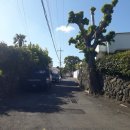 상예동-4 이미지