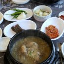 회복참옻닭 이미지