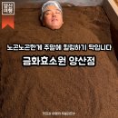 금화푸드 | 중부동 가볼만한곳, 양산 주말 데이트 코스로 추천하는 금화 효소원 효소찜질 솔직 후기 +효소찜질 효능