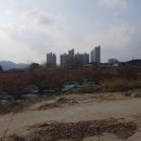 코아루부자공인중개사사무소 이미지