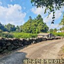 세화 교차로 이미지