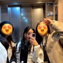 제일당약국 | 파리 5_개선문, 샹젤리제 거리, 뛸르히 가든, 루브르박물관