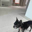 웜브리즈 이미지