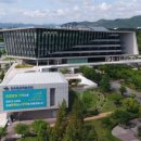 군수선거 이미지