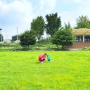 공릉천문화체육공원 농구장