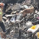 매일여인숙 이미지