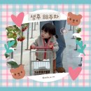 대오농장 | [리니일기][20개월아기] 88주차 - 집밥거부, 또감기, 딸기농장