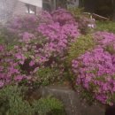 한국관나이트크럽 이미지