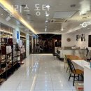 DH웰리스 이미지