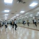 라인댄스 이미지