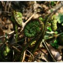 도비산 등산로 이미지