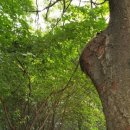 우장산공원 이미지