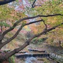 당산휴게소 | 부산 출발 국내 여행 패키지 전북 1박2일 새 부산 관광