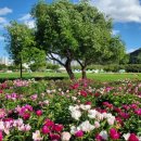 태화강국가정원 이미지