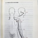 8.수소양소장경 (청궁~소택) 후계= 허리나 목덜미가 아플때 사용.. 이미지